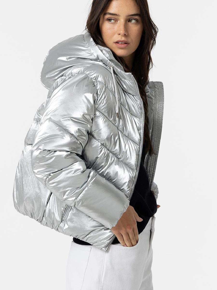 Chaqueta Plata  | 10056543